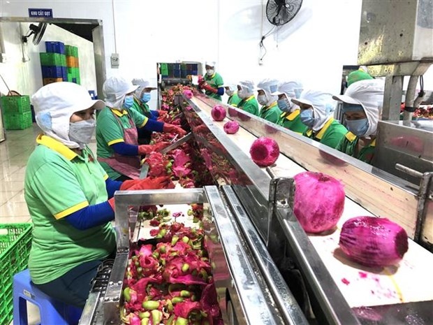 Domestic support for agri-exports