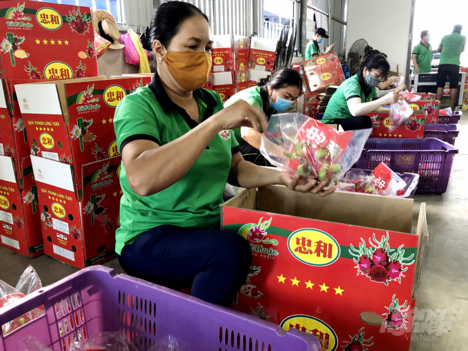 Agricultural products exporting by sea is not easy