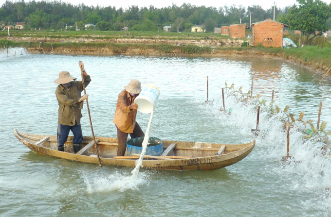 Aquatic animal diseases: Prevention is better than cure