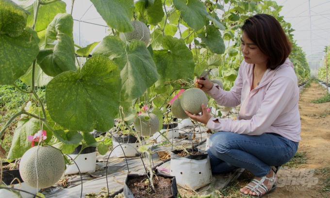 Cao Bang province associates for agriculture consumption