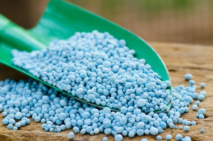 Fertilizer exports hit an all-time record high