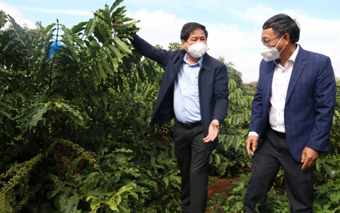 Management Board for Agriculture Projects implements 3 projects in 2022