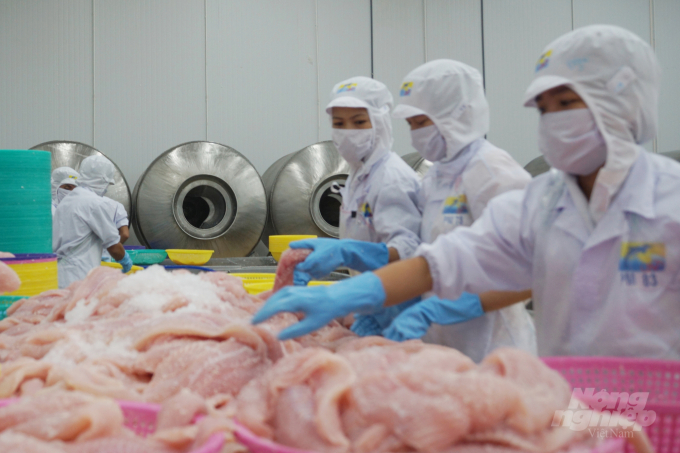 Pangasius exports to the USA increase twofold