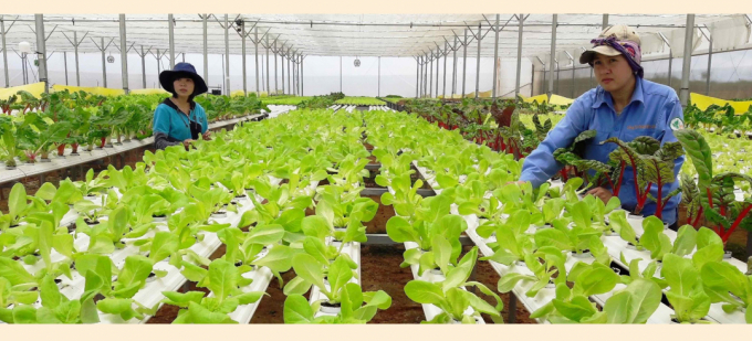 Spotlights of Vietnam's agriculture sector in 2021
