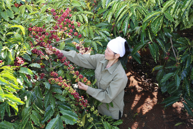 The market share of key agricultural products has great potential to increase in EU