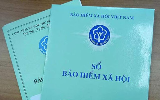Voluntary social insurance coverage contributions improve considerably in 2022