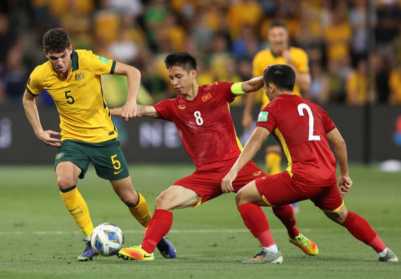 Vietnam Tel set a collection of unhappy information after an enormous loss on the Australian area