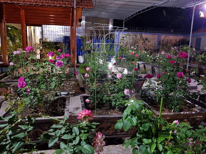 Suggest beautiful cafes in Ben Tre ideal for New Year’s Day