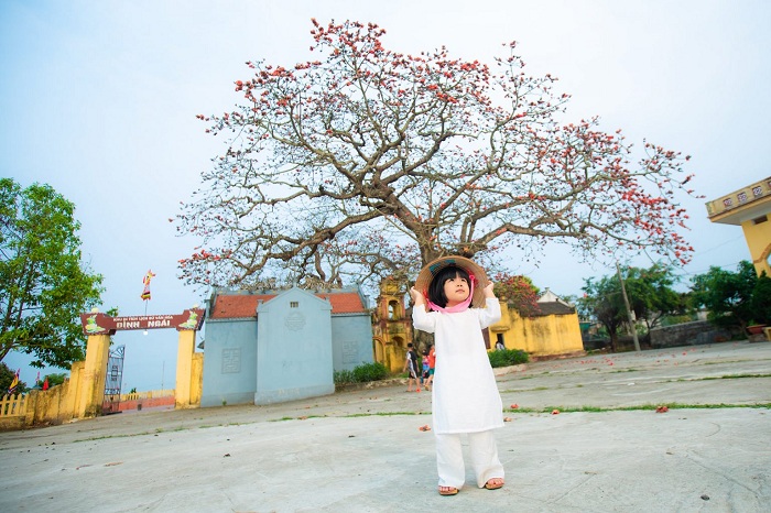 The famous hundred-year-old trees in Vietnam are a “popular” virtual living scene online