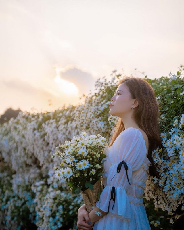 Turn into ‘muse, muse’ in chrysanthemum gardens in Vietnam » Vietnam