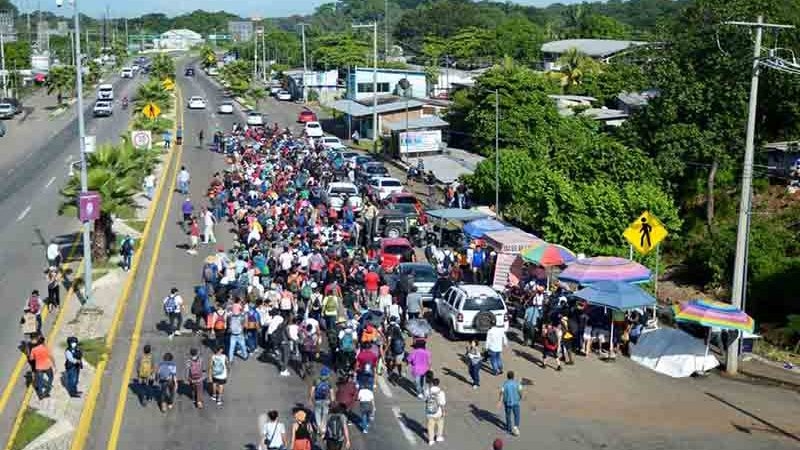 Thorny journey after migrant's life-changing dream