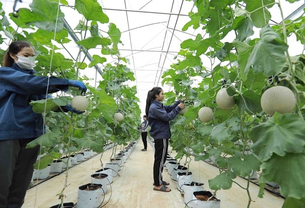Cooperatives to be supported in digital transformation