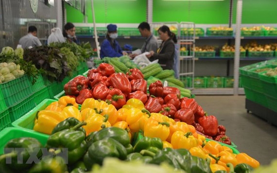 Expanding market for fruit and vegetable consumption