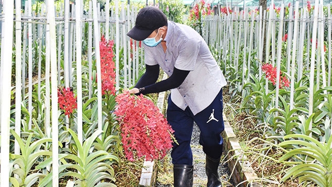 Investment for farmers enhanced towards agricultural development
