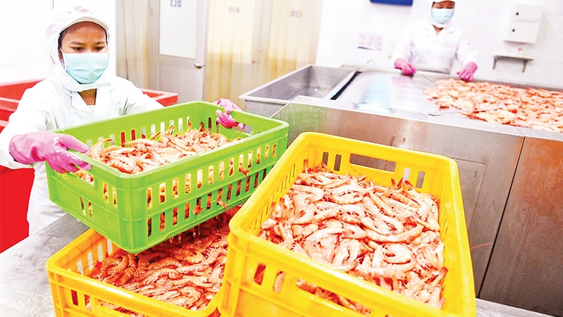Normal life is returning to Vietnam