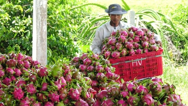 Promoting the value of geographical indications