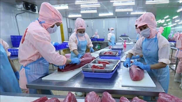 Tuna exports enjoy three-digit growth in January