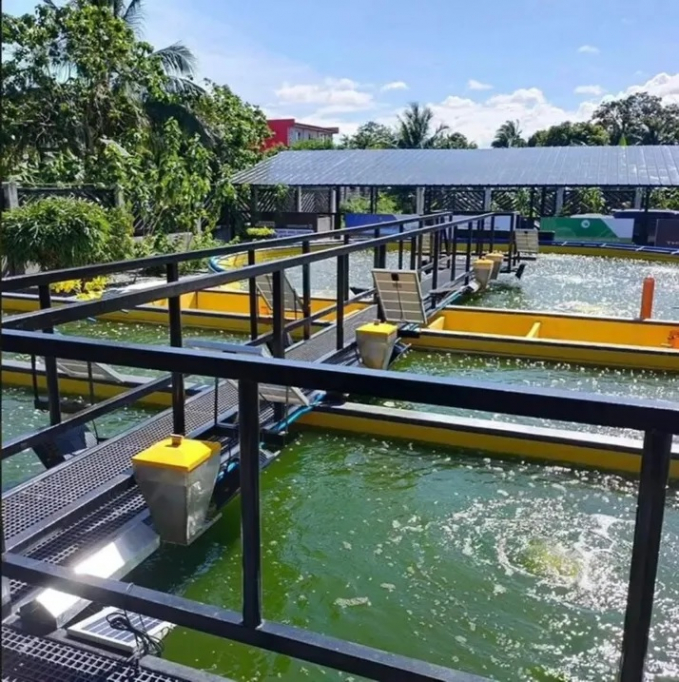 Aquaculture with 4.0 technology - Things to note