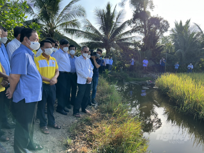 Bac Lieu province boosts shrimp - rice model