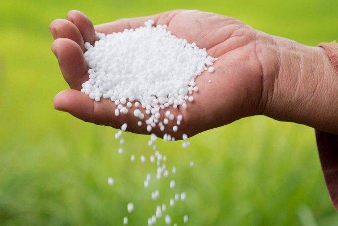 Fertilizer prices are forecasted to decrease in 2022