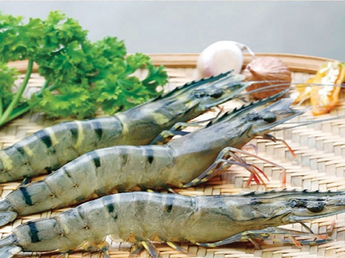 Increase in average shrimp price in 2022