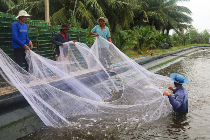 Khanh Hoa province applys high technology in shrimp farming