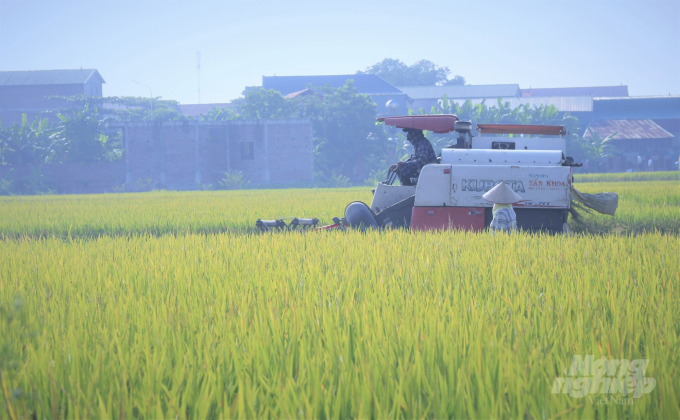 More policies are needed to develop agriculture sustainably