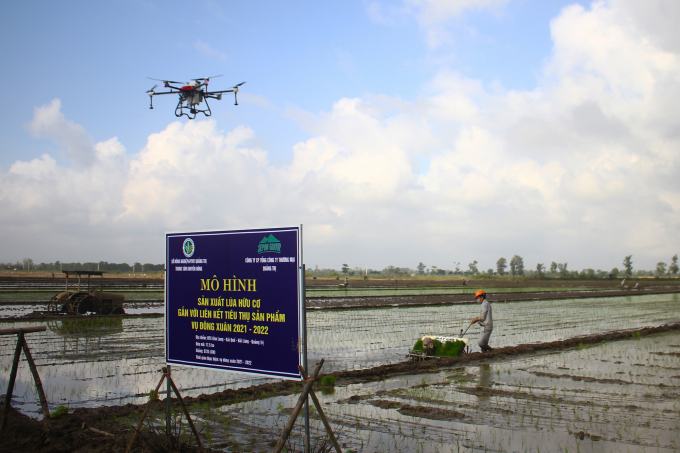 Organic rice in Quang Tri aims at the US and European markets