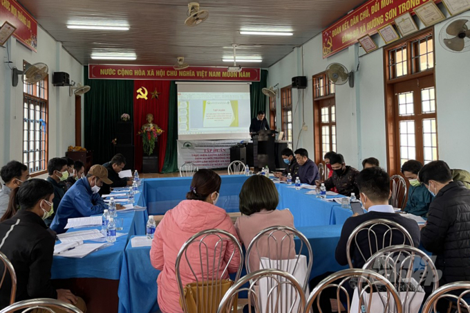 Payment policy for forest environmental services