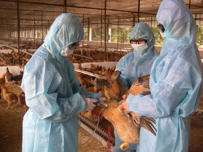 Veterinary medicine – a decisive factor in agriculture development ...