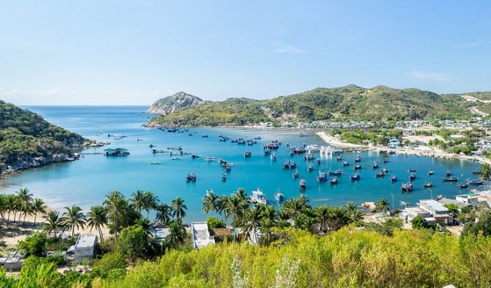 Traveling to Ninh Chu Lunar New Year – A fascinating experience to welcome the new year