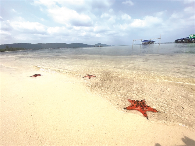 Visiting the starfish kingdom in Phú Quốc