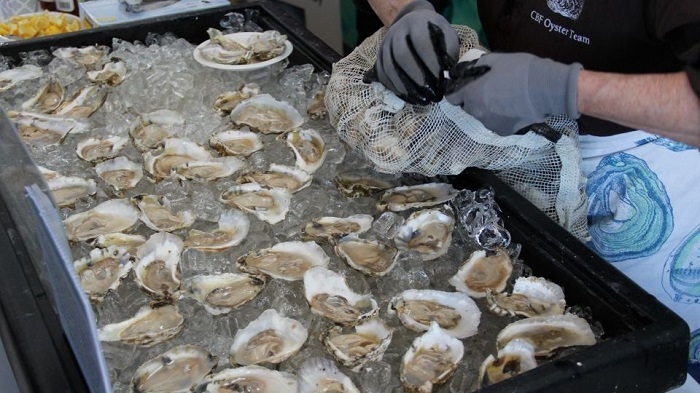 World News in Brief: February 5