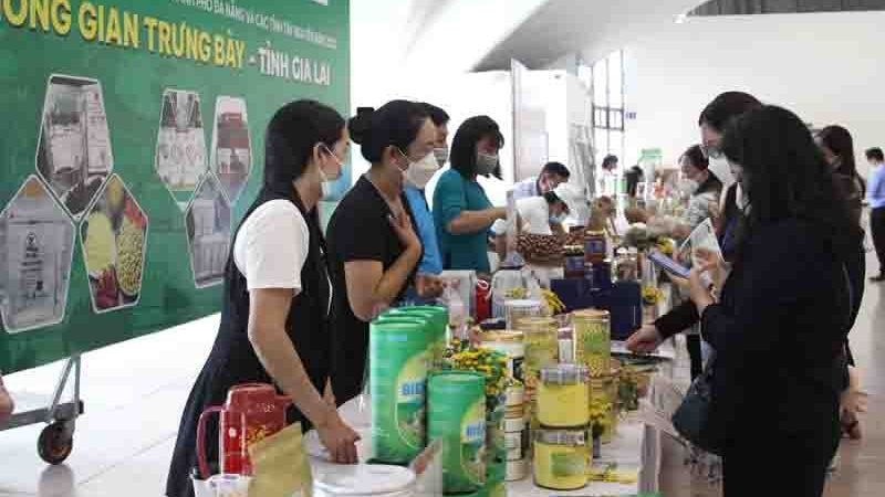 Conference seeks to connect Da Nang with the Central Highlands provinces