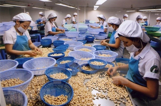 FM spokesperson emphasises protection of Vietnamese enterprises' legitimate interests