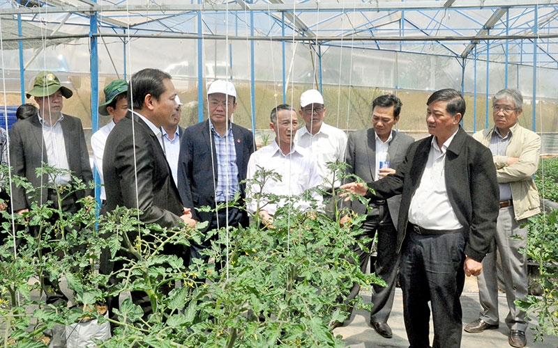 Lam Dong promotes agricultural digitisation