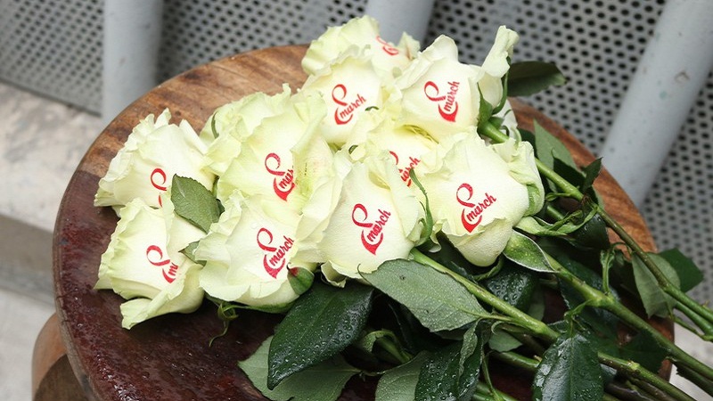 Hãy cùng ngắm nhìn những tác phẩm vẽ hoa hồng tuyệt đẹp được thực hiện đặc biệt cho Ngày Quốc tế Phụ nữ 8/