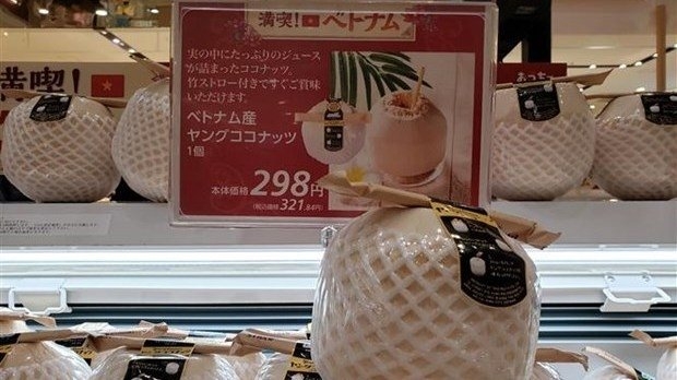 Vietnamese firms get tips to boost exports to Japan