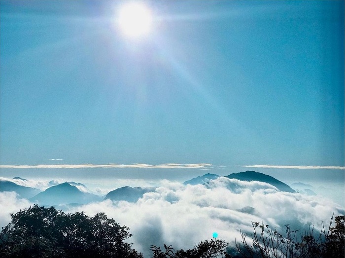 Go to Ta Lien Lai Chau mountain to see the fairy forest, enjoy the blooming azalea season