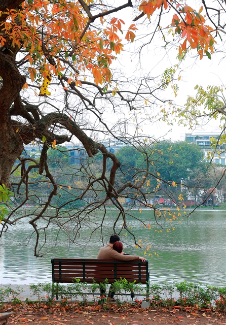 Hà Nội enters charming leave-changing season