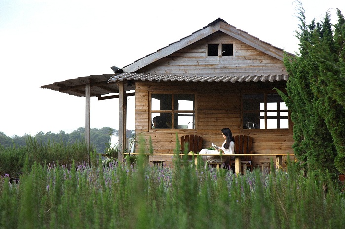Lavender Bag of Missing Da Lat – a place with a beautiful scene like a ‘fairy dream’ in real life