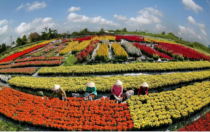 ‘Lost’ in the flower village of Ba Bo Can Tho check-in virtual life and watch the flowers show off their ‘heartbreaking’ beauty