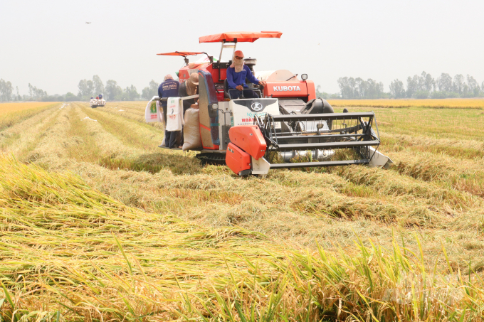 A long step in the path of improving rice farming techniques » Vietnam ...