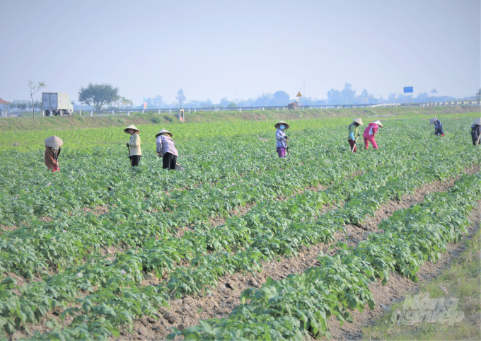 Bring agricultural land onto ‘exchanges’