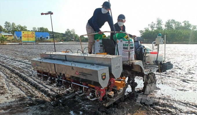 Dream-like profit from smart rice production
