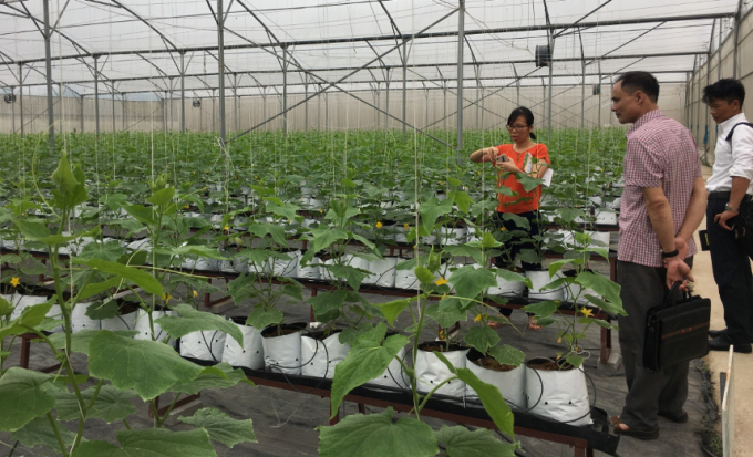 Eco-Fair sparks the flow of ‘green finance’