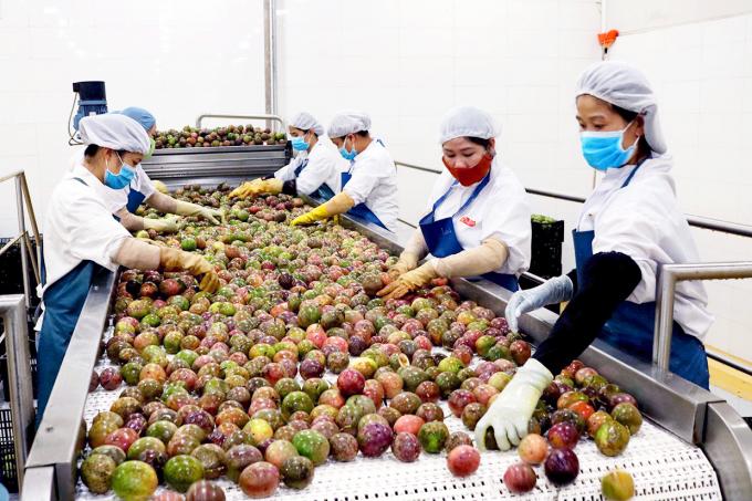 Exports of agricultural products reach US$ 8 billion