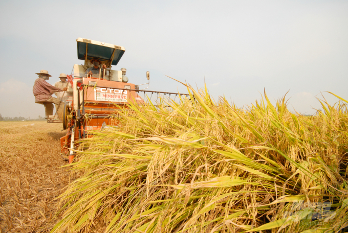 High production cost and low yield corrode the profit of winter-spring rice crop