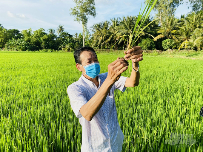 Lowering pesticide costs by 50% thanks to probiotics