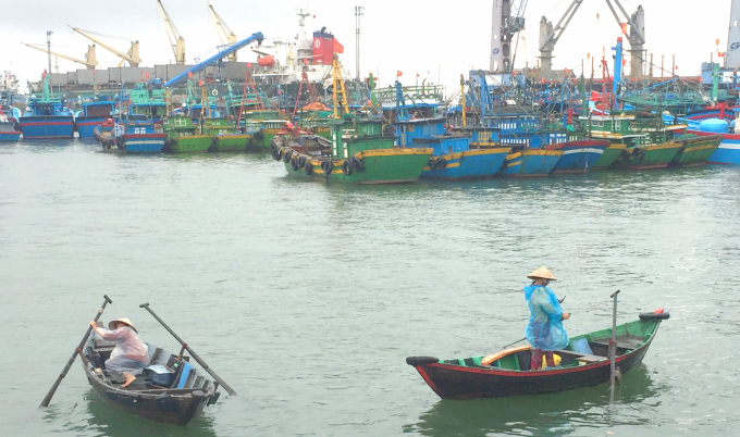 Modern fisheries hindered by Degraded ports